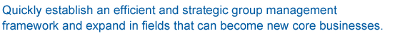 Quickly establish an efficient and strategic group management framework and expand in fields that can become new core businesses.