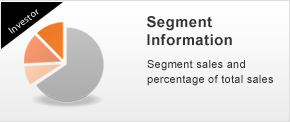 Segment Information